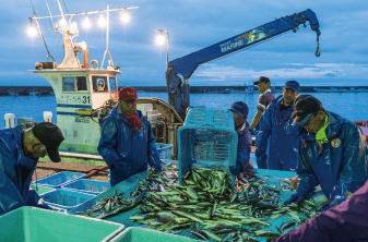 漁の様子