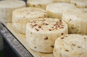 並んだチーズの数々